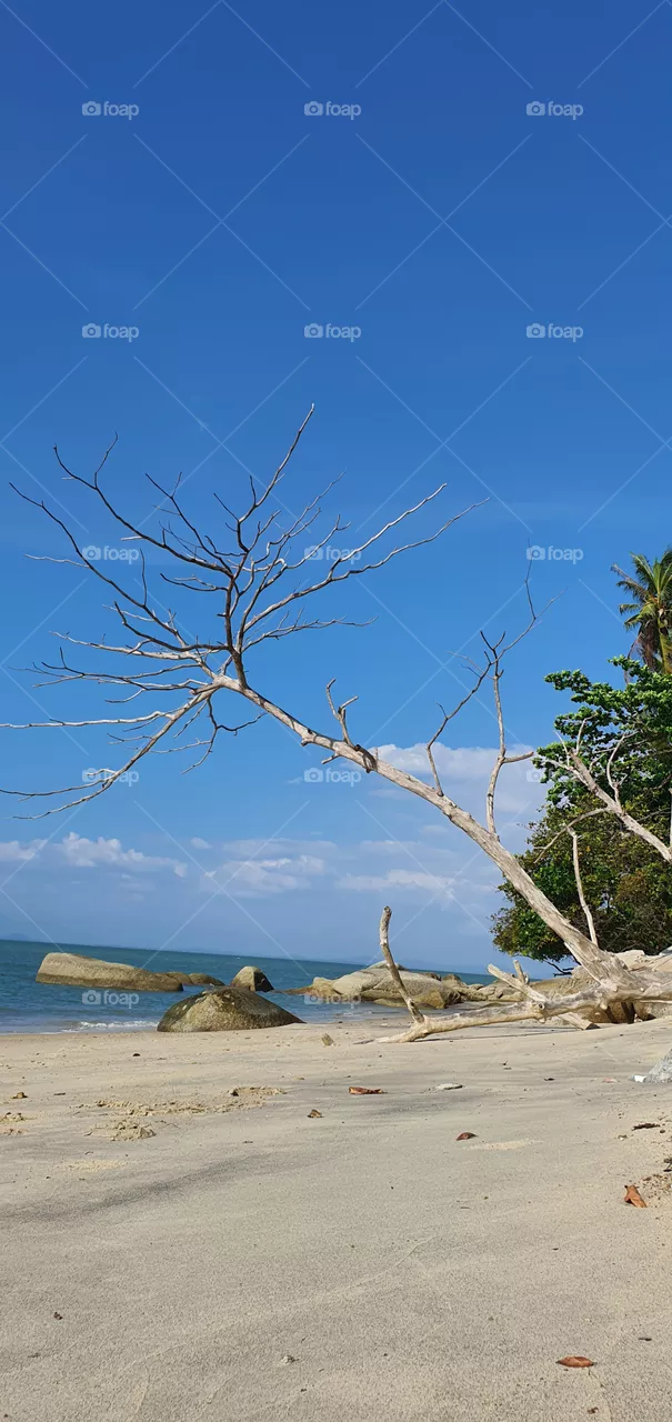 beautiful beach