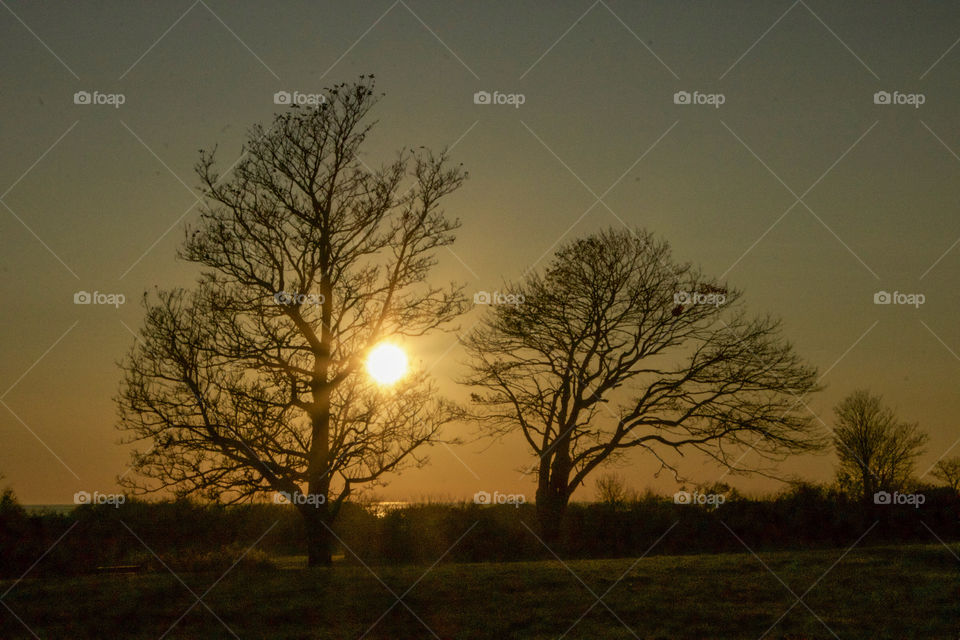 Autumn sunset