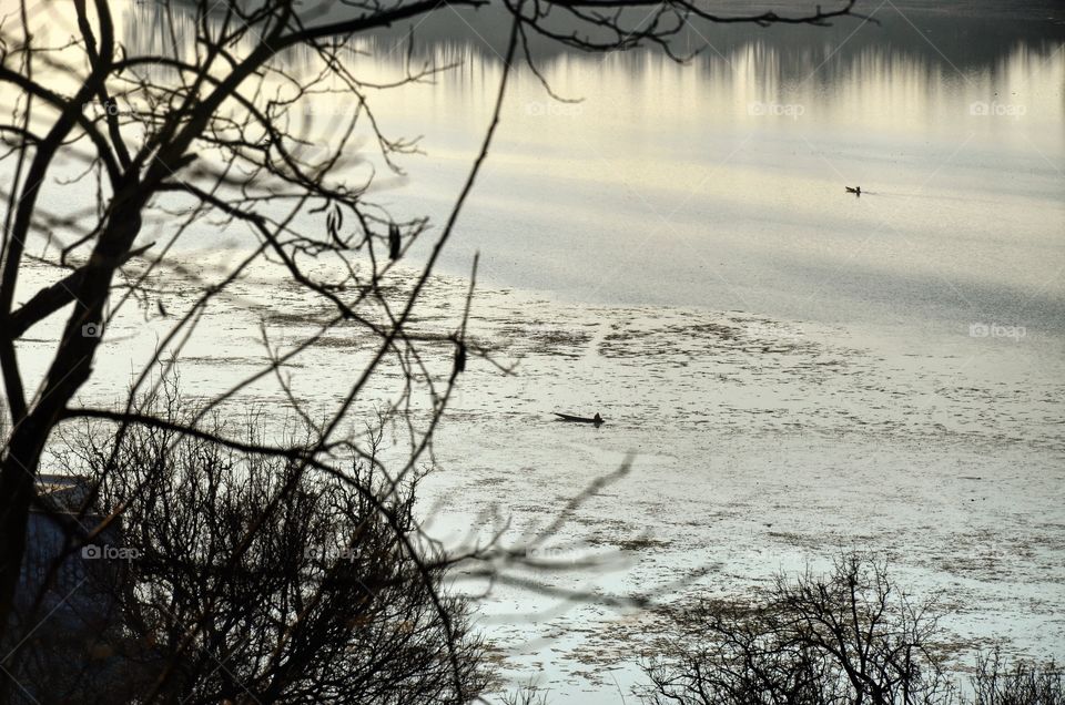 Water, Landscape, Lake, Reflection, Tree