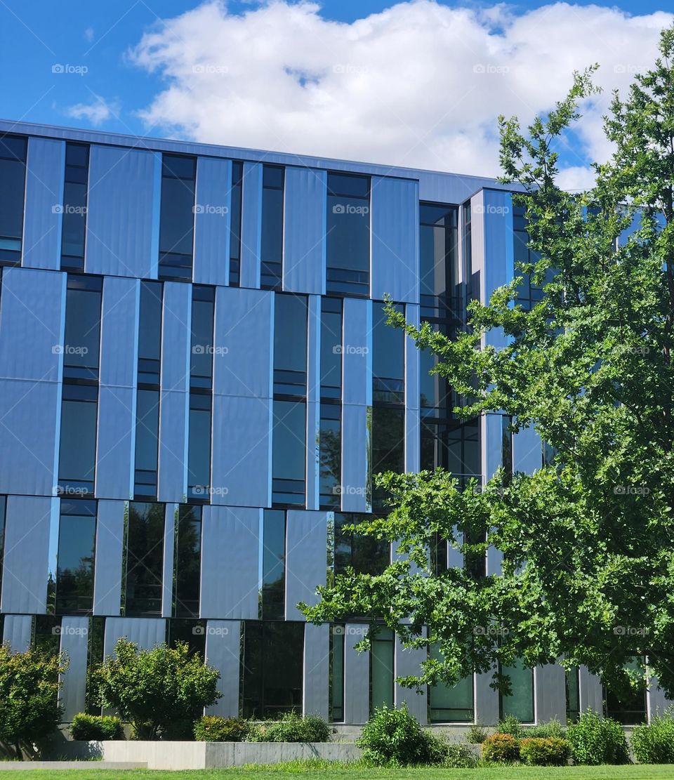 This modern architecture in Oregon has a sleek shiny surface of windows and panels that reflect the sunlight