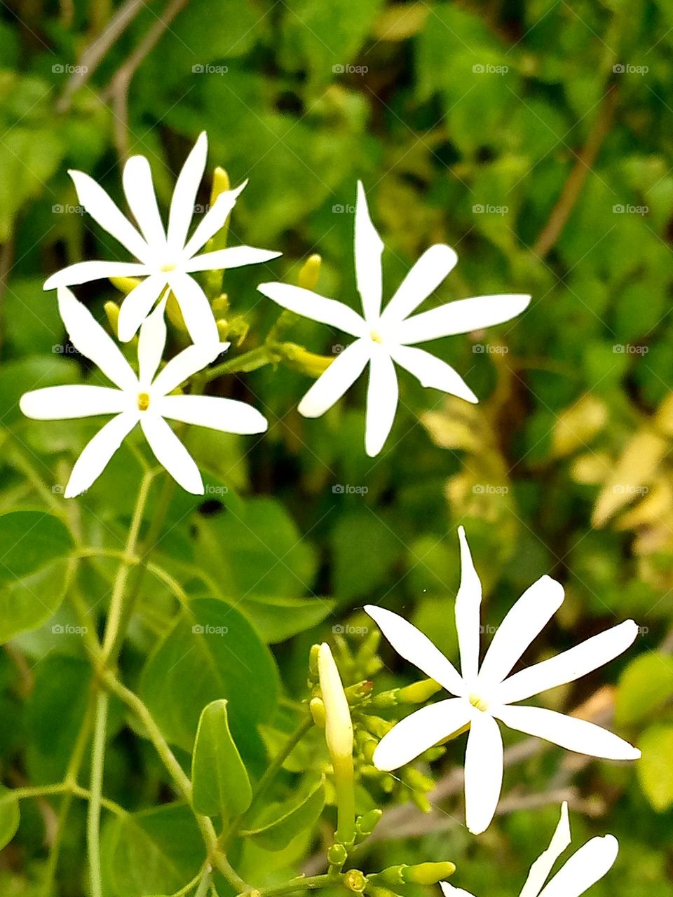 I won't let this little things slip out of my hands