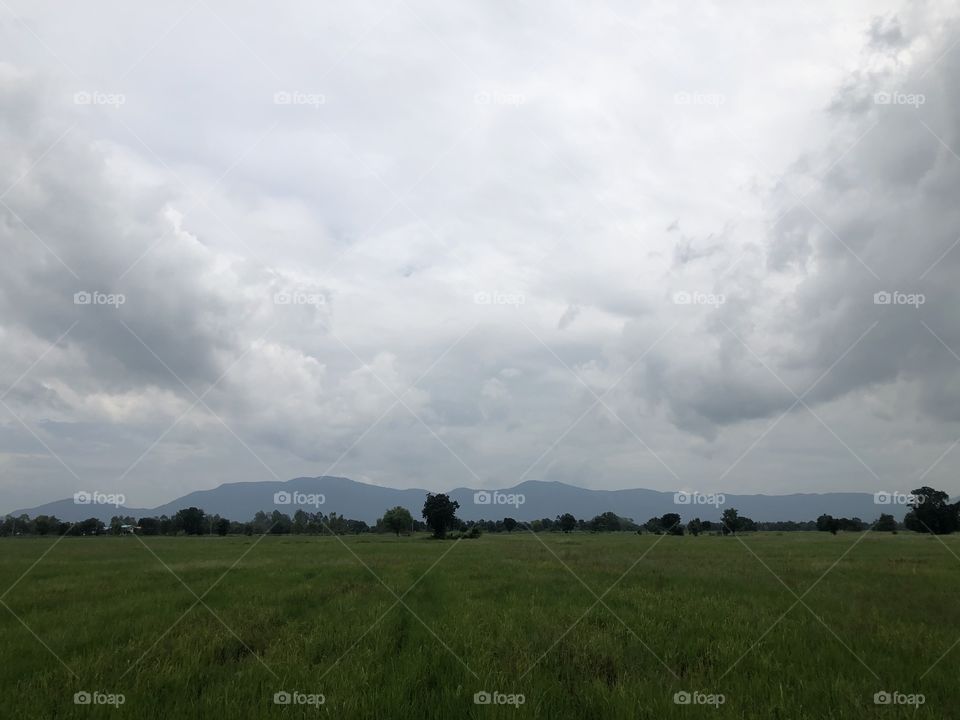 The signs of nature, Countryside ( Thailand)