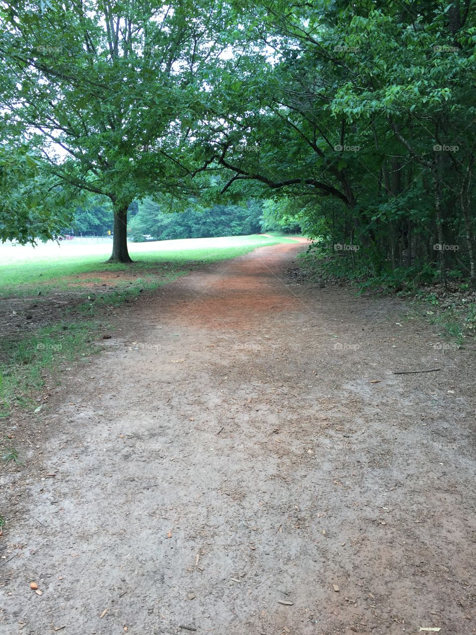 Hiking trail