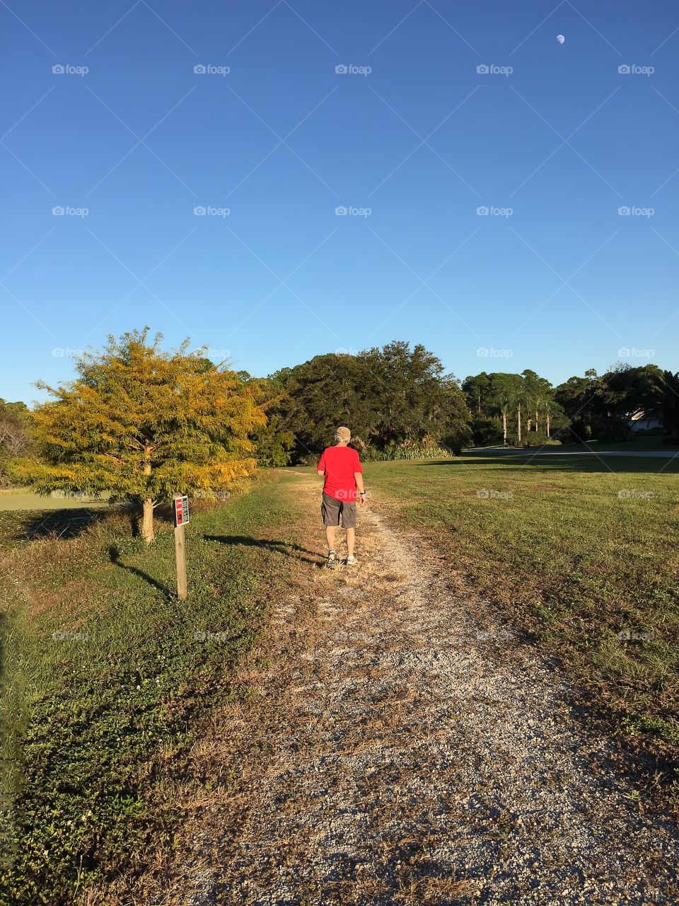 Landscape, Tree, Road, Outdoors, Cropland