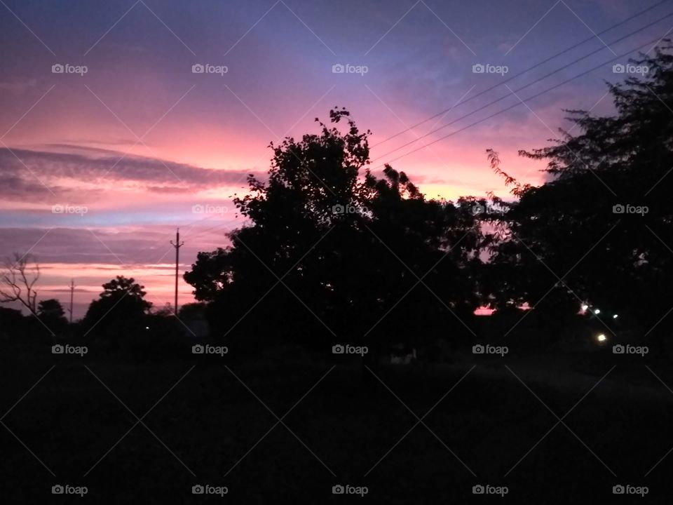 Beautiful Crimson Sunset, Shinning or Flamming behind the trees / Vivid / Quiet Evening / Golden Hour / scarlet sky