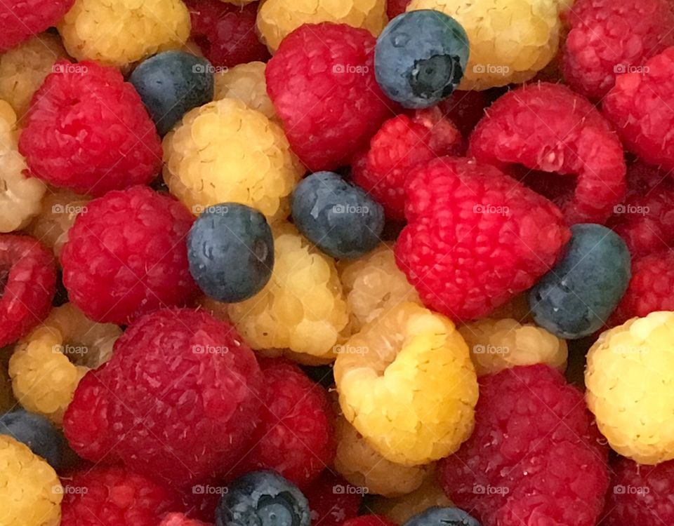 Primary colors in berries