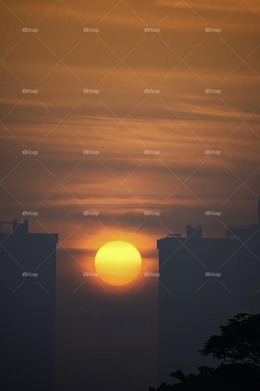 The early morning sunlight shining on large buildings.