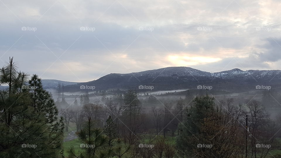 A picture taken outside my front door.  I live in Shasta County, .CA. I missed most of the heavy fog but caught some of it as the sun began rising over the mountain