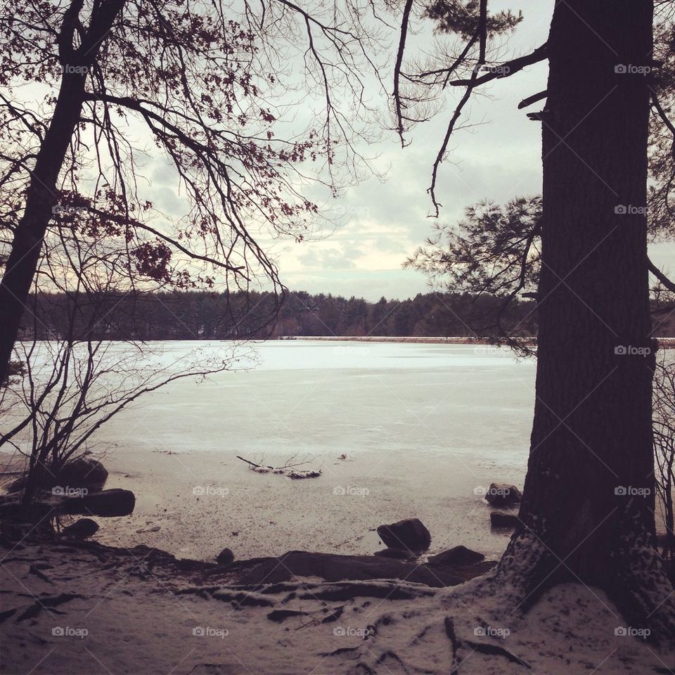 Winter lake scene 