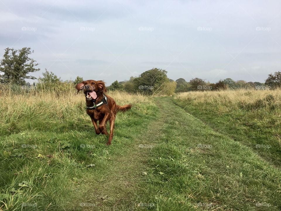 HAPPINESS IS .... enjoying a run down by the river ... this energy was at the end of the walk 😂