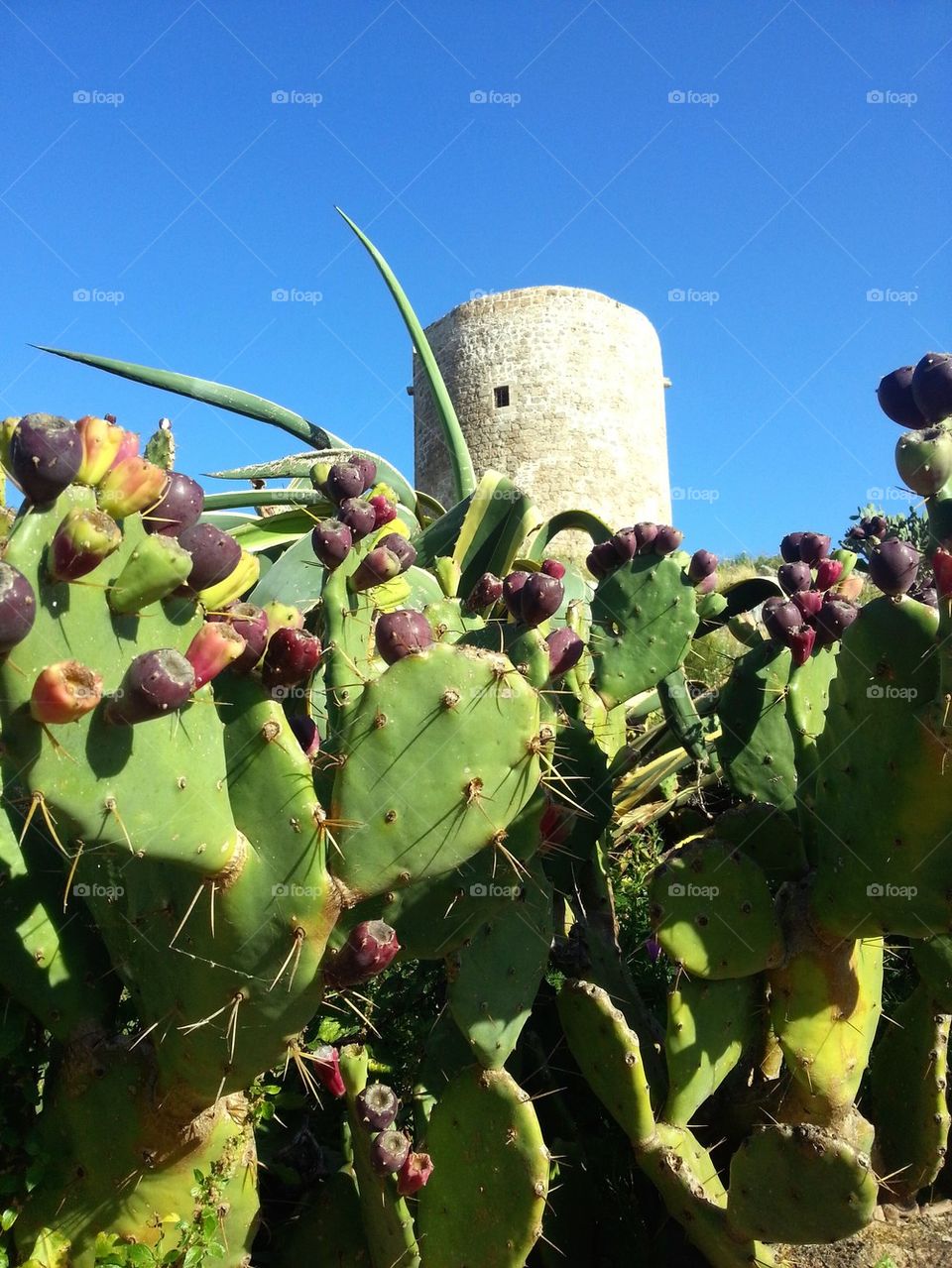 torre di guardia