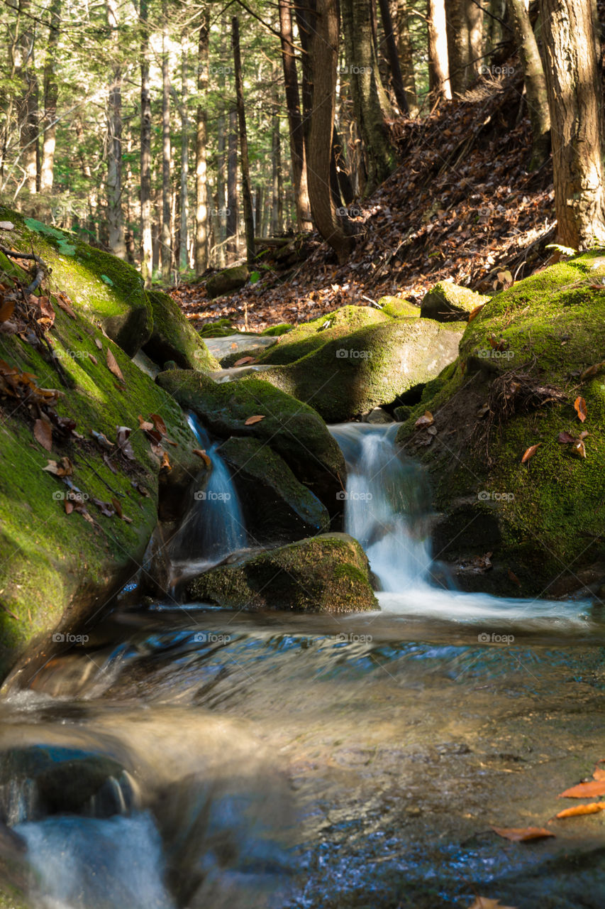 Scenic view of waterfall