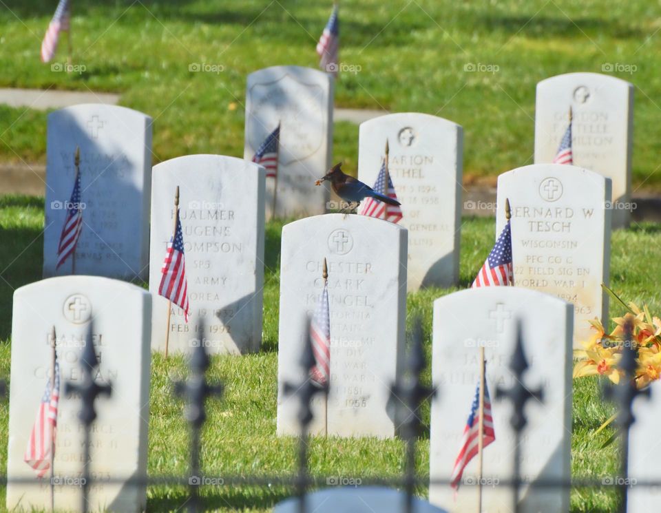 Rectangle monuments honoring the brave fallen