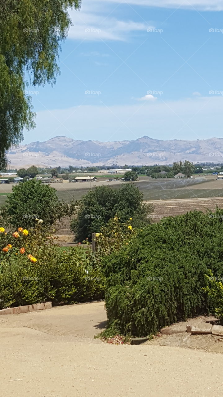 a view of farmland below from the rose garden at the Mission San Juan Bautista.