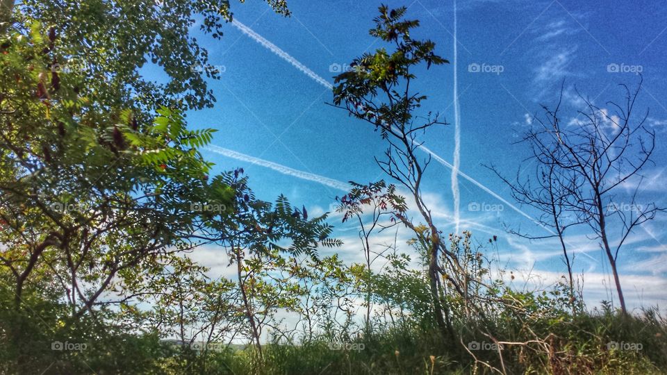 Nature. Jet Streams & Blue Sky