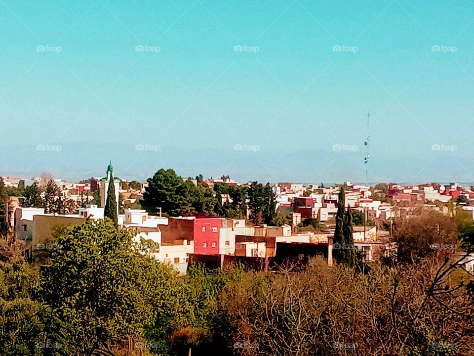Inhabitants surrounded by greenery
