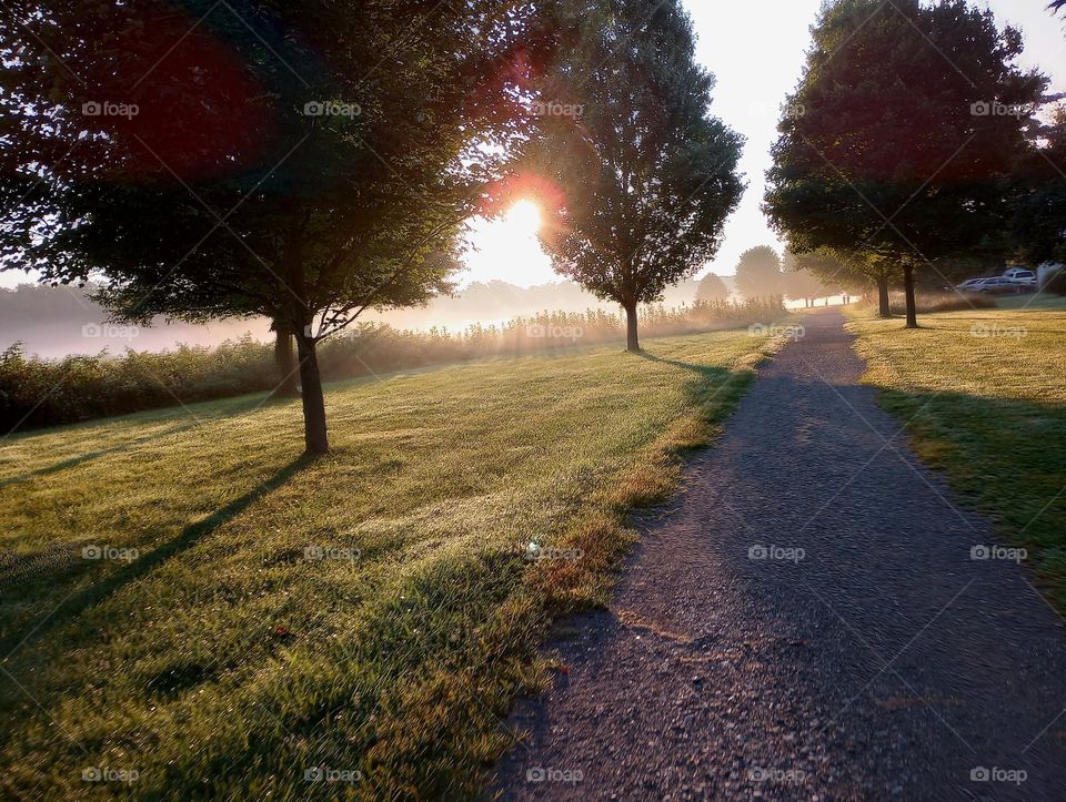 Got to enjoy a crisp early morning sunrise over the fog and dew while trail walking.