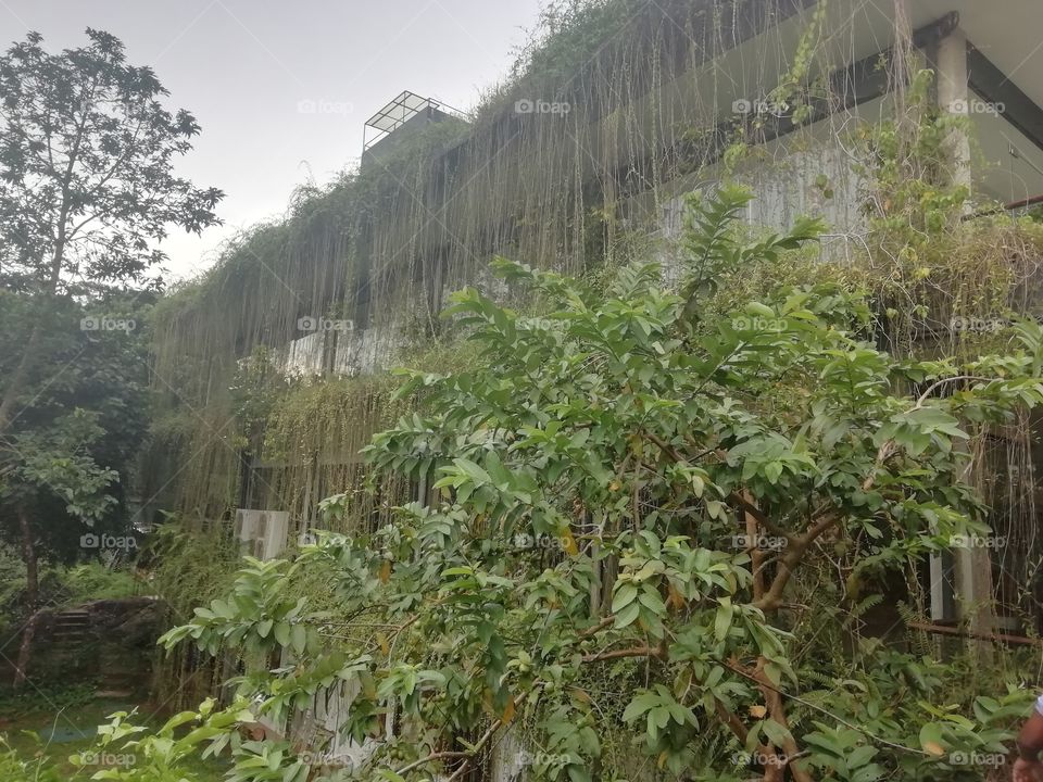 A beautiful hideout embraced by nature
