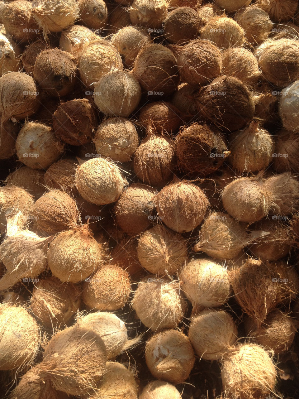 Pile of coconuts