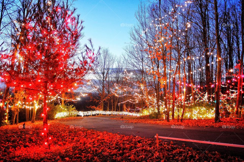 Christmas lights at night 