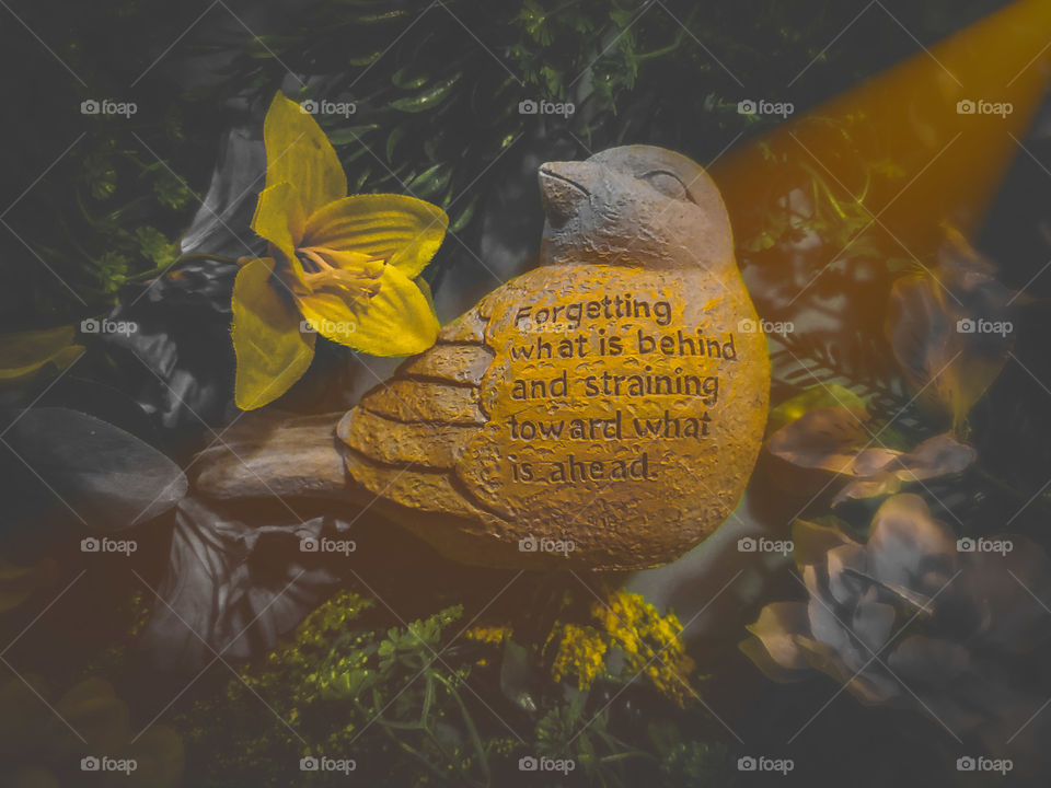 Symbolic Flat lay of a gray garden bird figure with a golden yellow encouraging Bible verse: Forgetting what is behind and straining towards what is ahead. Accented by a golden yellow flower and highlights.