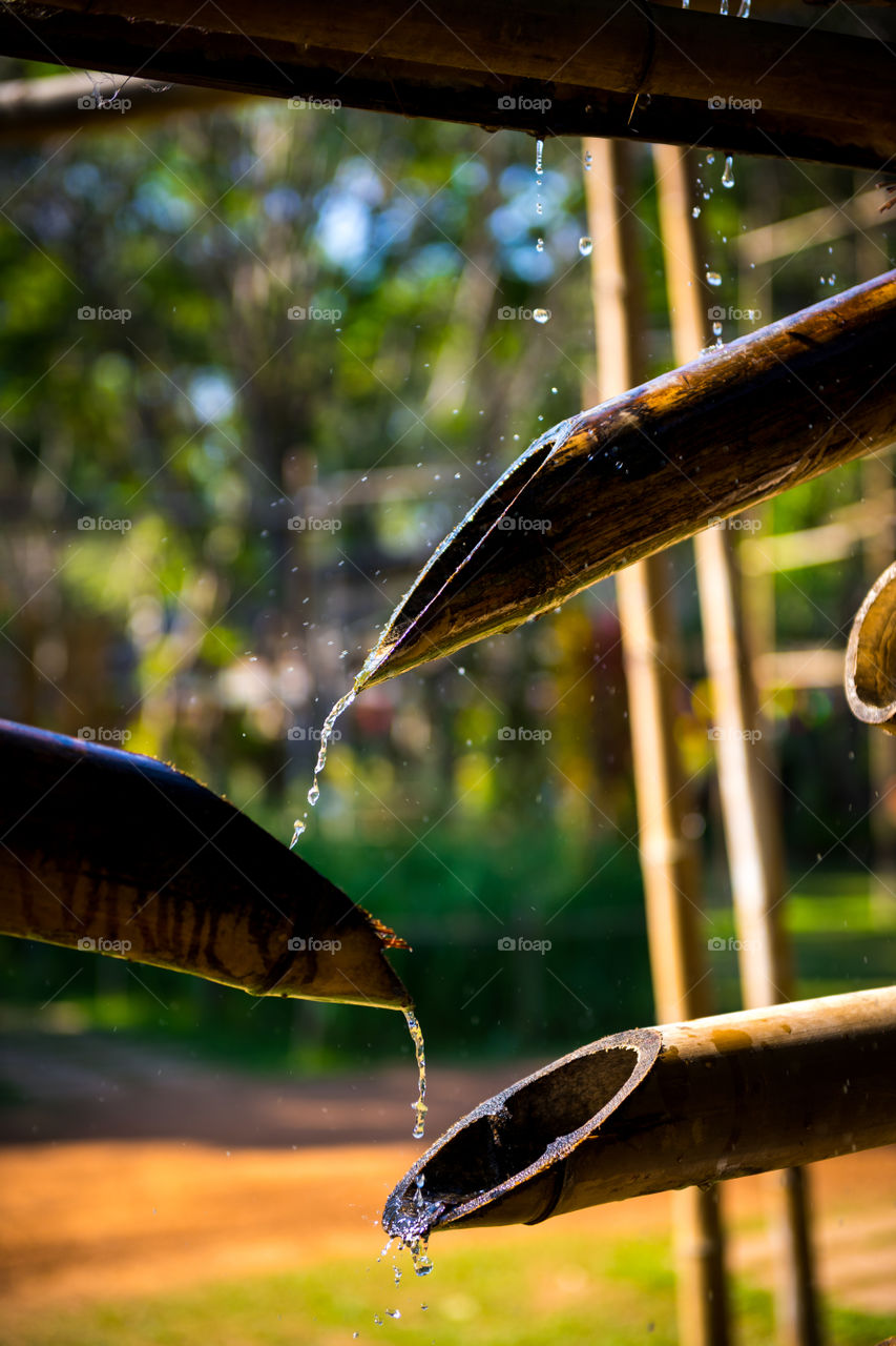 Bamboo fountain in the garden