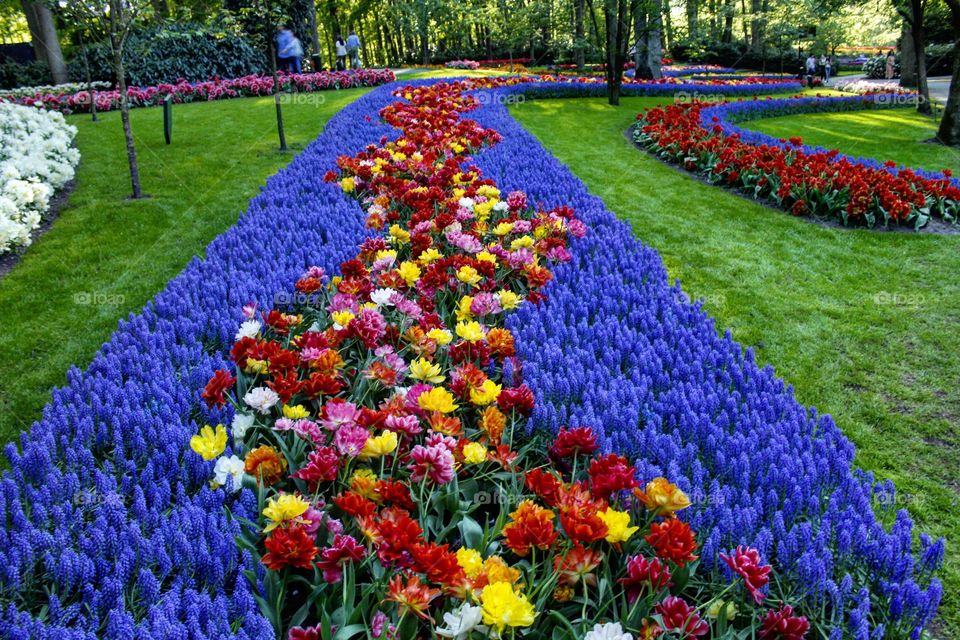 Just follow the path of the flowers!