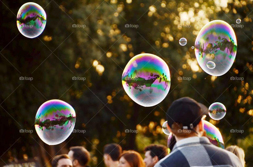 Bubbles 