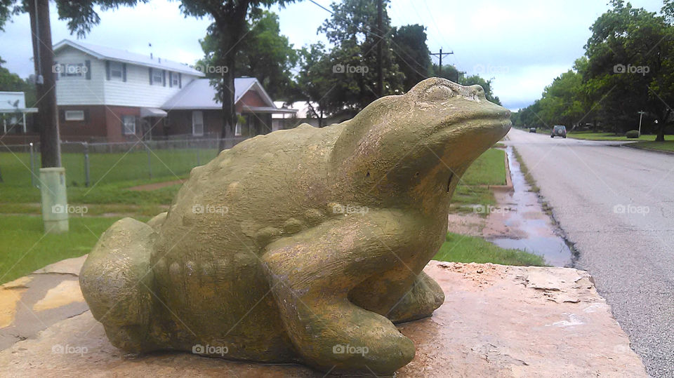 jeremiah was a bullfrog. this frog sits on top of a mailbox