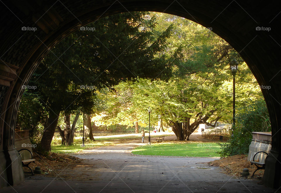 Tunnel in Park