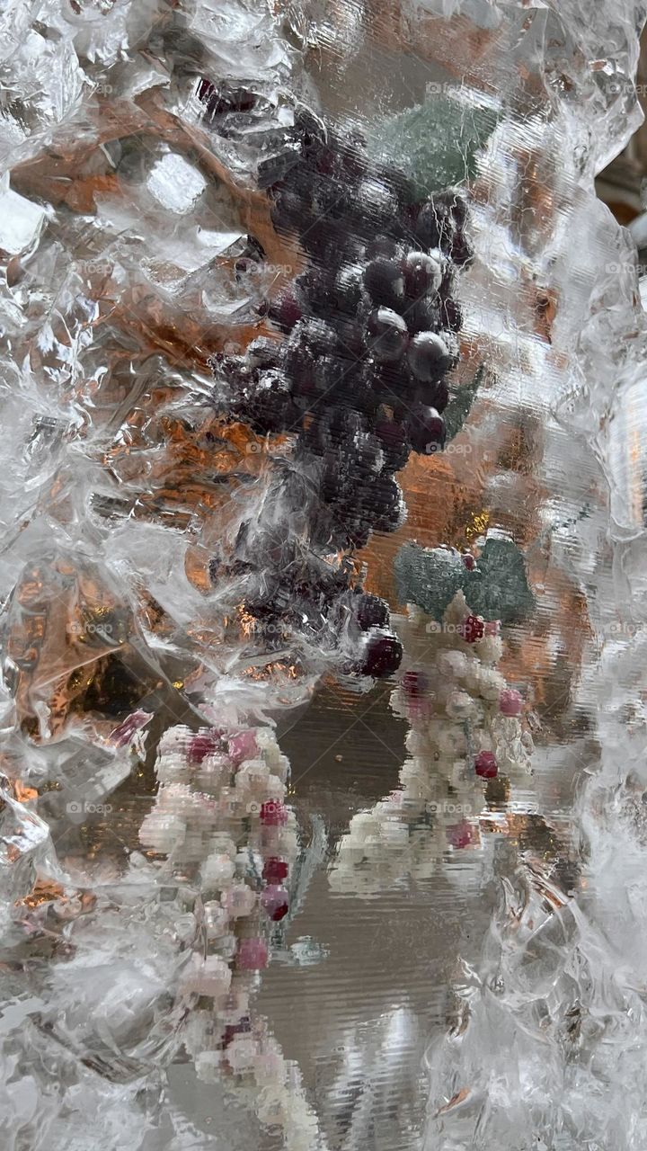 The frozen grapes portrait art