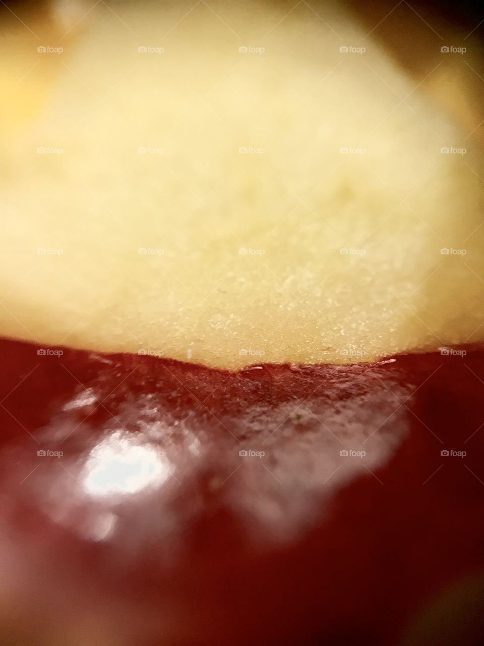 Apple slice close up