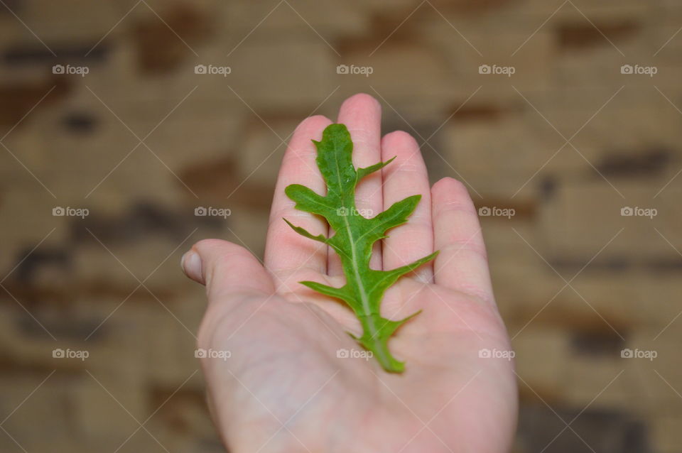 Holding food