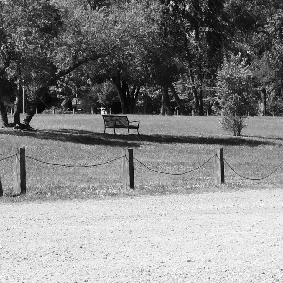Black and white bench
