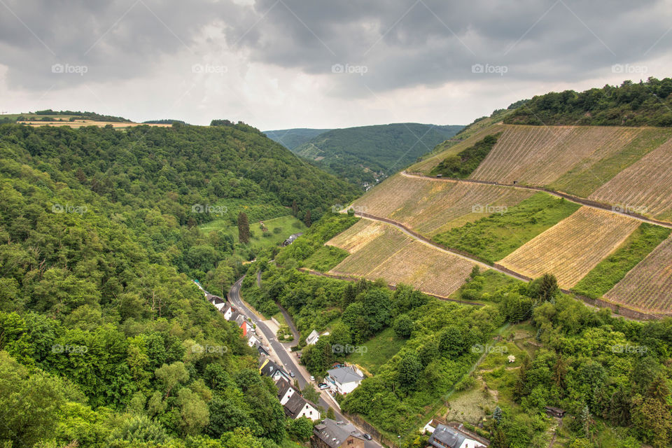 Green Rhine valley in Europe