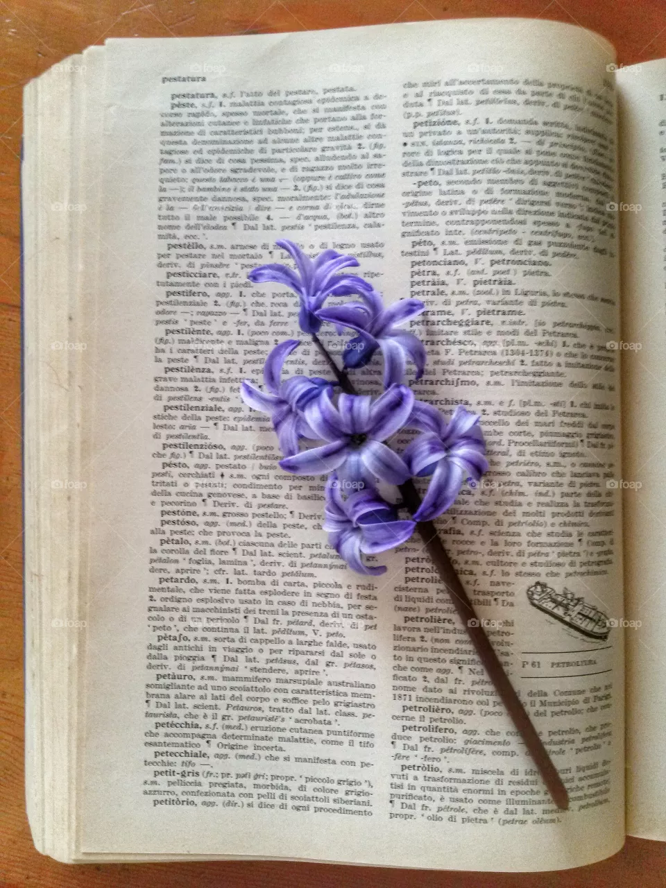 book