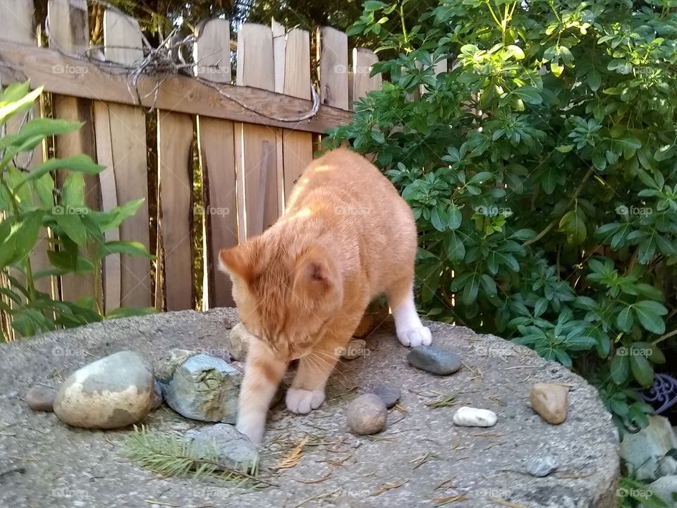 Morris, don't get stuck!