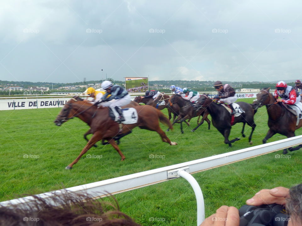 horserace in Deauville