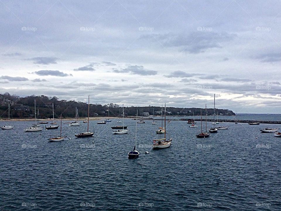 Woods Hole Port Authority Cape Cod