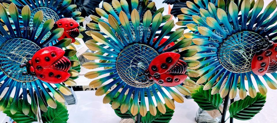 Ladybugs on display!