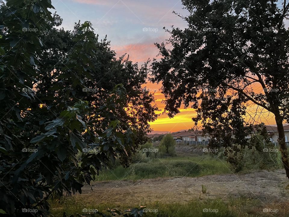 An amazing home sunset Vieuw from my window every day the sky is 🆕