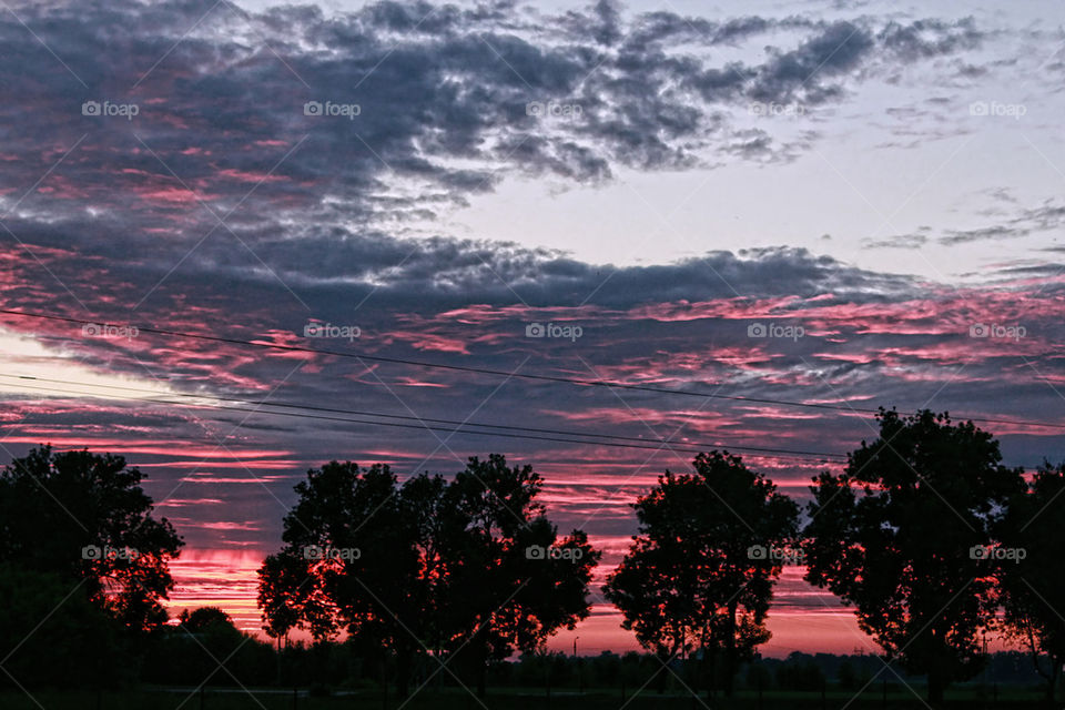 Purple clouds 