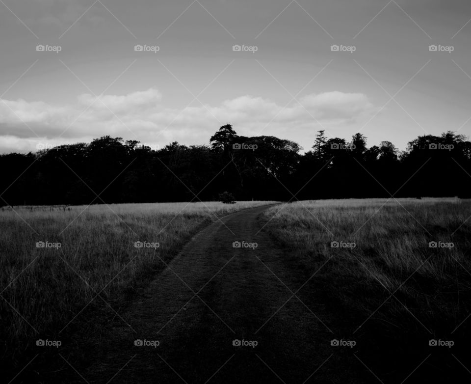 Fields of monochrome