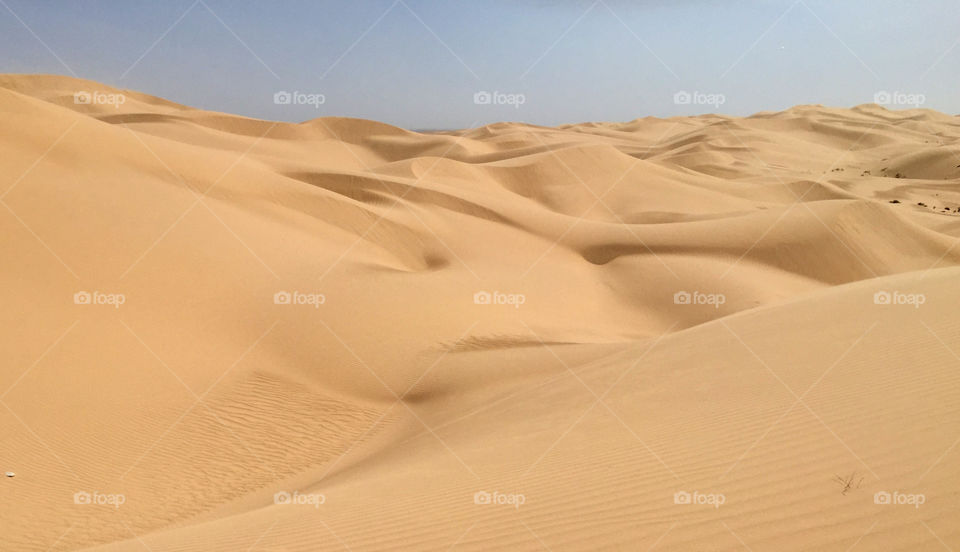 Imperial Sand Dunes - Yuma, AZ