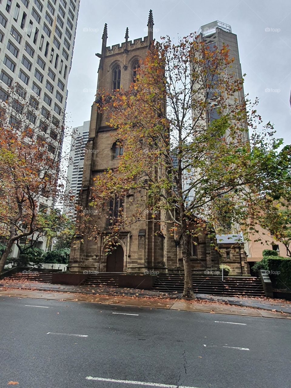 Development and history