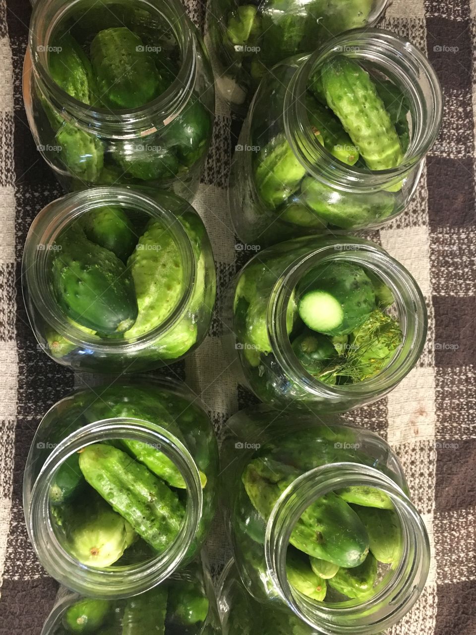 Cucumbers in jars and ready for brine