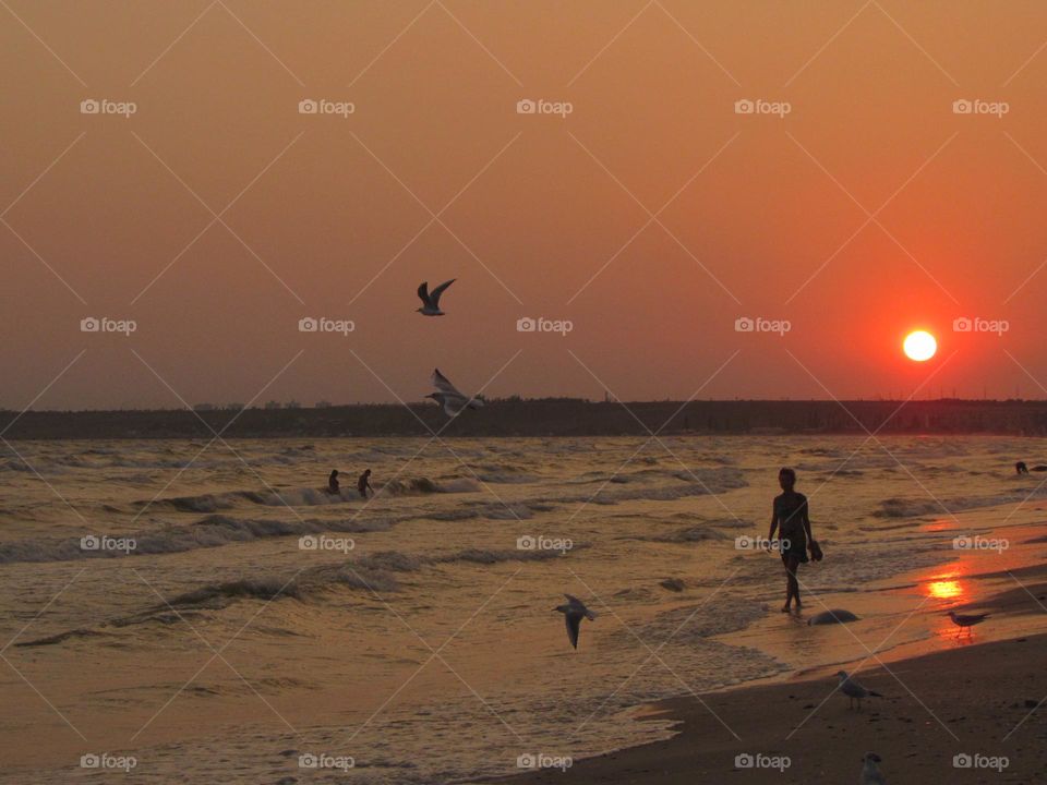 Sunset on the seashore