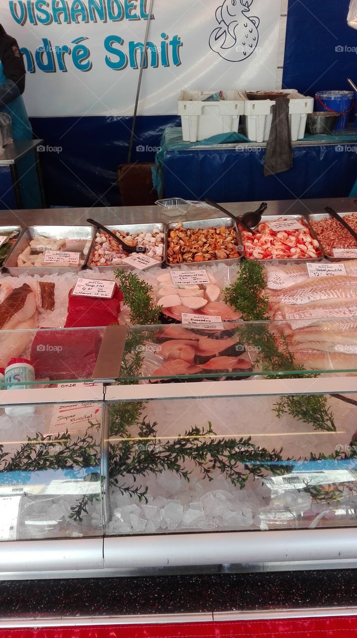 a day at the market fresh fish
