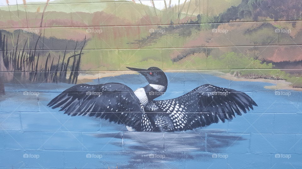 painting of a loon on the side of the building