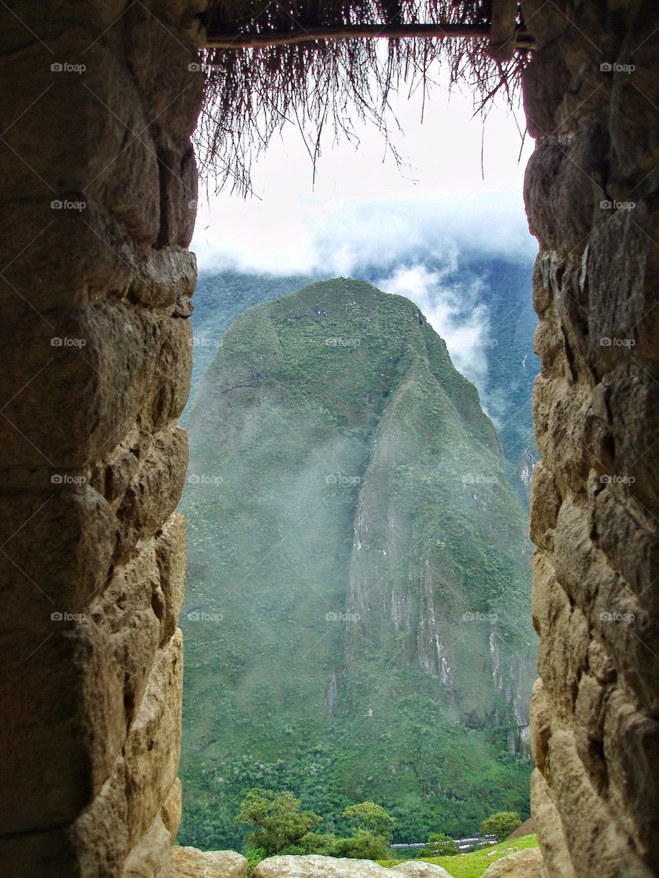 Scenic view of nature